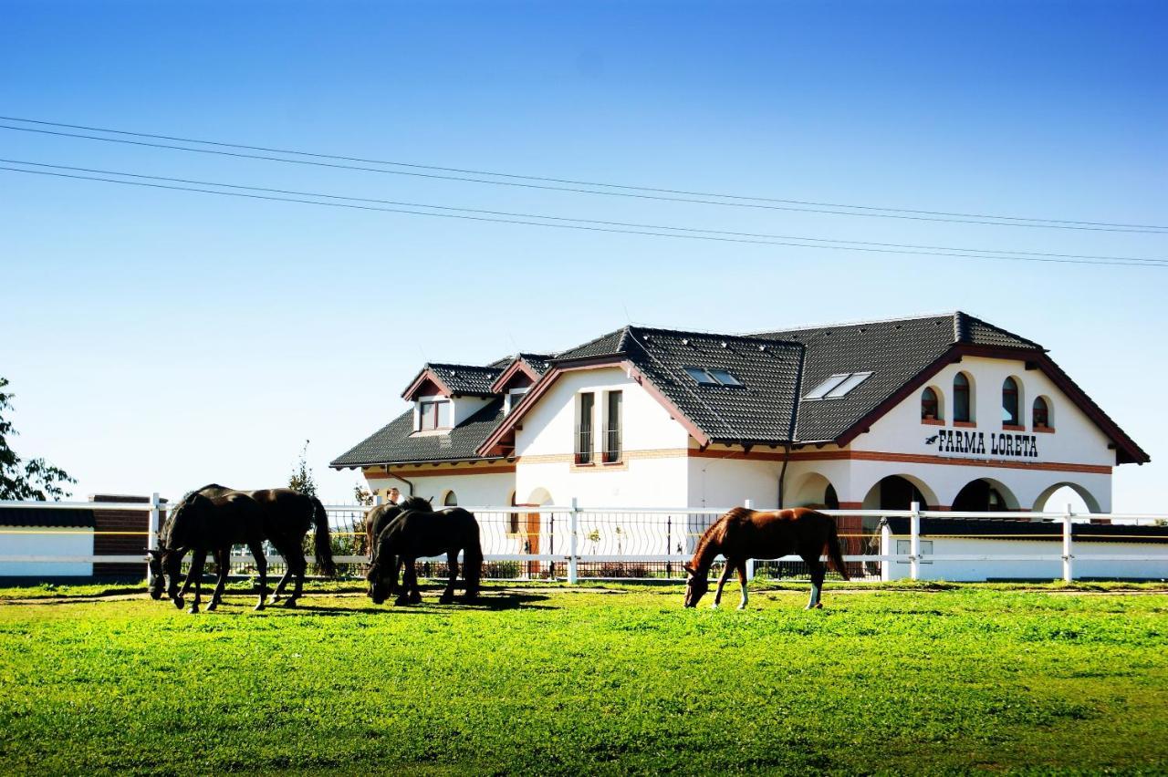 Farma Loreta Villa Vlašim Kültér fotó